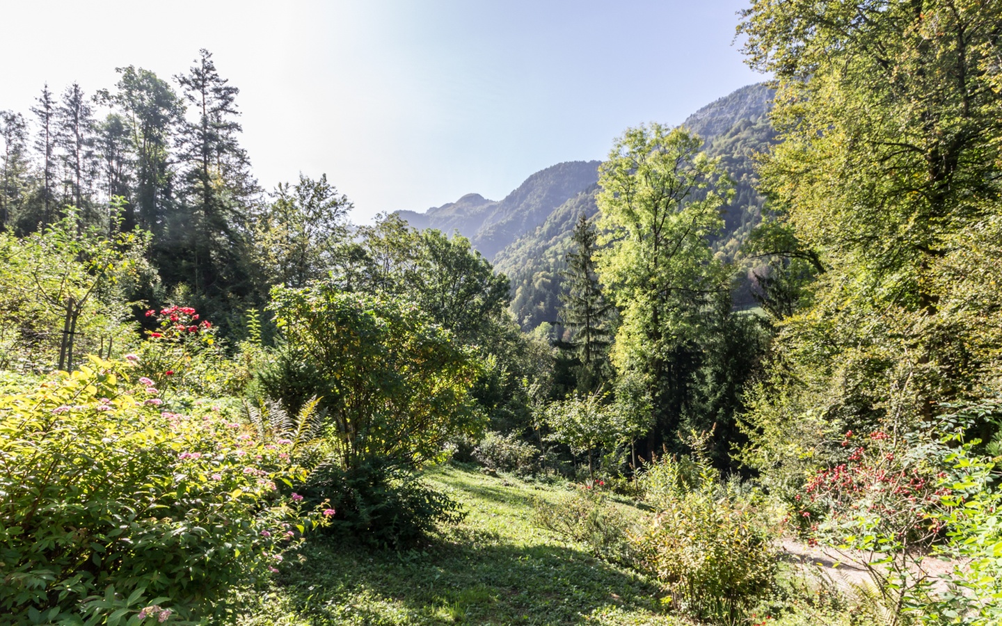 Chalet à vendre à Thônes en Haute-Savoie