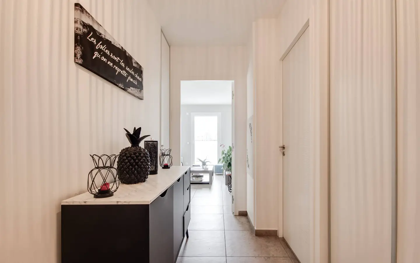 Achat immobilier appartement t3 avec terrasse rénovée Annecy-le-vieux couloir