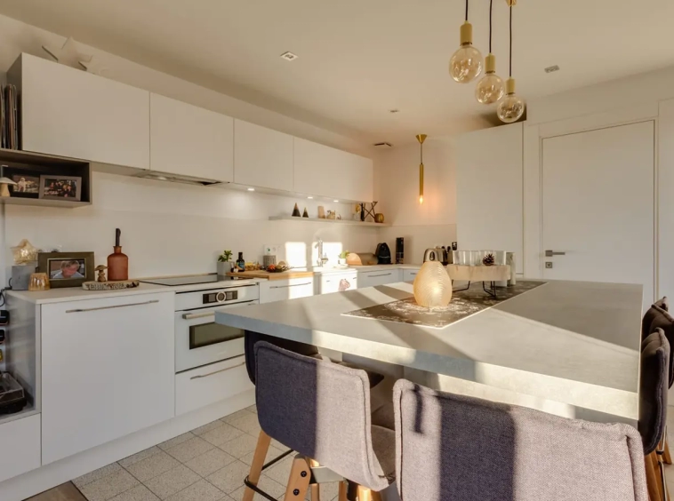 Achat immobilier appartement duplex Annecy-le-vieux cuisine