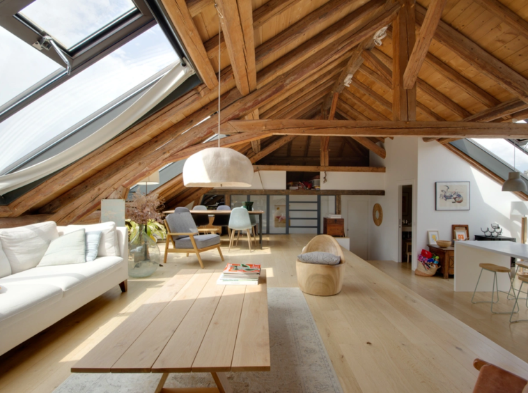 ANNECY LE VIEUX - T5 loft + mezzanine avec terrasse