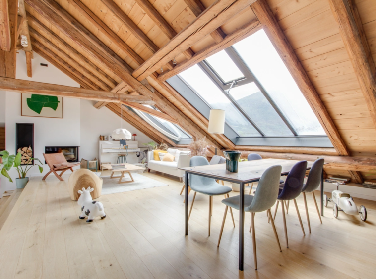 ANNECY LE VIEUX - T5 loft + mezzanine avec terrasse