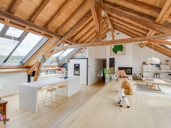 ANNECY LE VIEUX - T5 loft + mezzanine avec terrasse