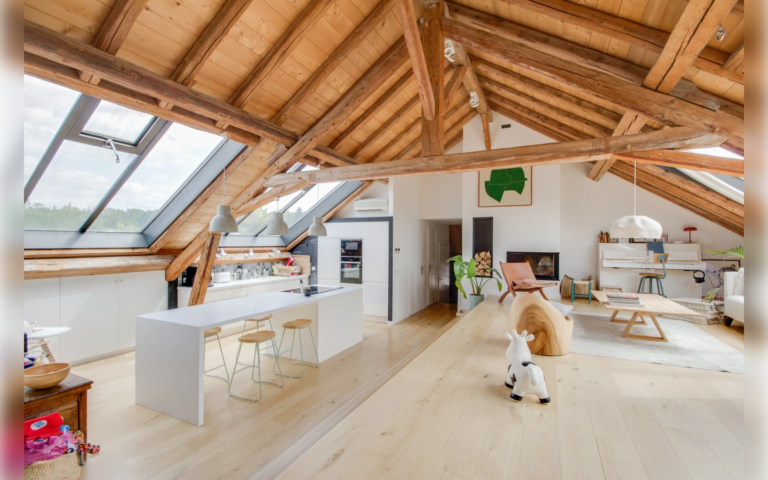 ANNECY LE VIEUX - T5 loft + mezzanine avec terrasse