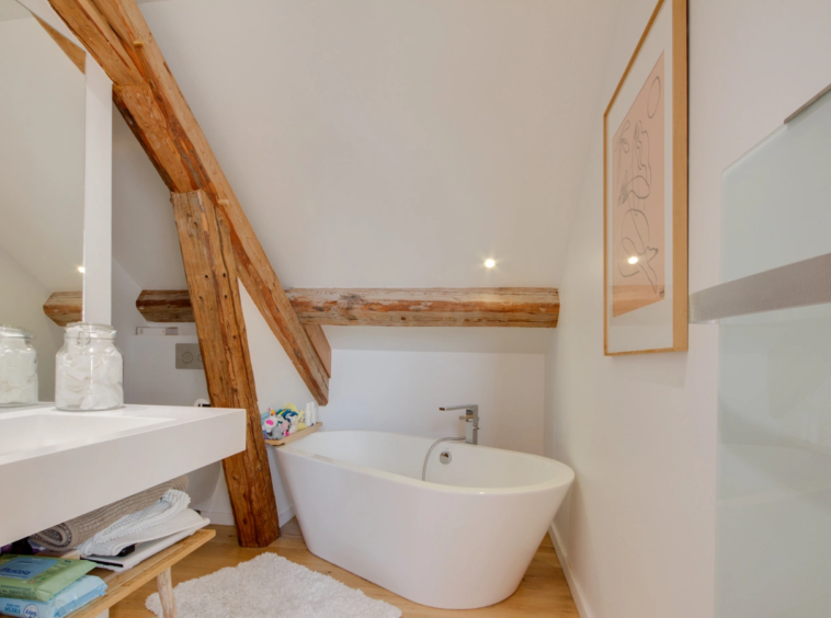 ANNECY LE VIEUX - T5 loft + mezzanine avec terrasse