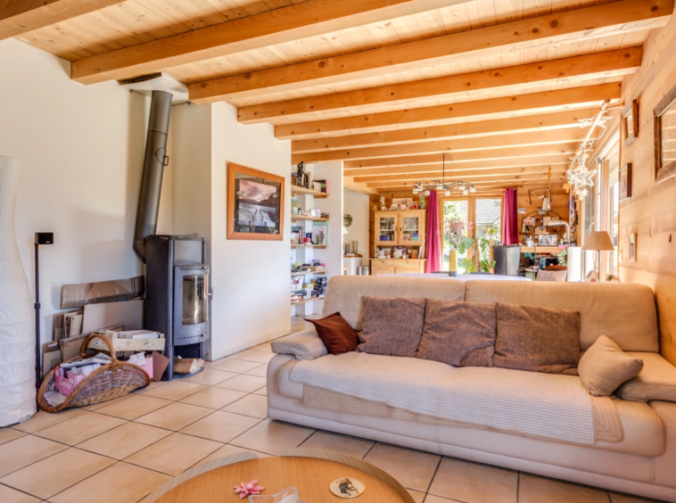 Salon avec poêle à bois
