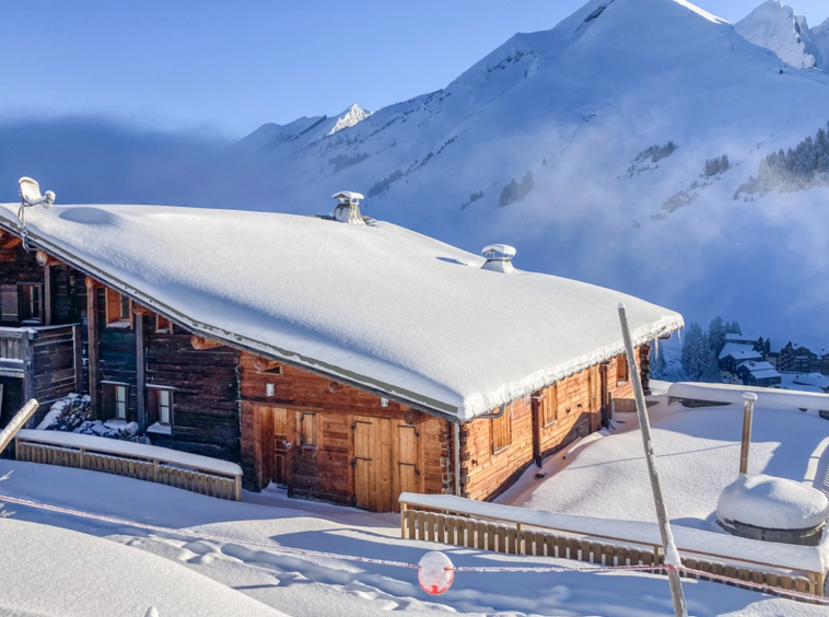 Ski au pieds