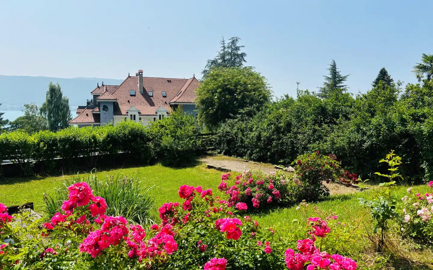 jardin ensoleillé