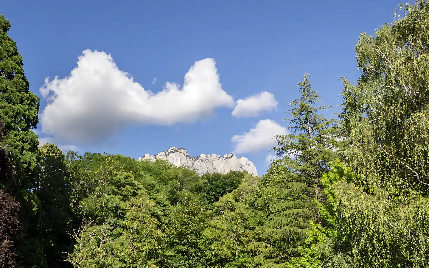 vue montagnes dents de Lanfon